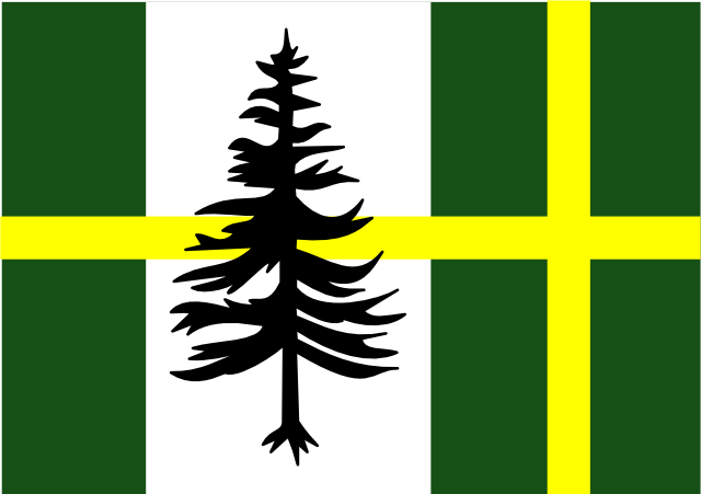 Flag-Darkwood Forest.png