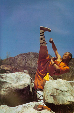 The Furious Monk From Shaolin [1974]