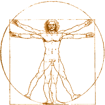 Vitruvian1.gif