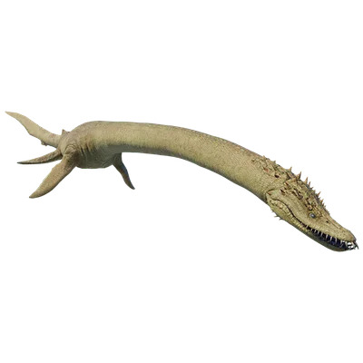 File:Elasmosaurus JWE2.jpg.jpg