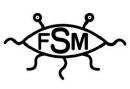 FSM mini.jpg