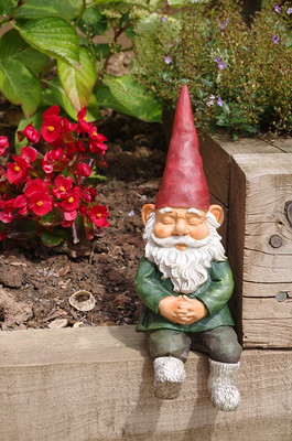 A red-hatted garden gnome sitting on the edge of a garden. Image created by <a href="https://flickr.com/photos/18909153@N08/">Cross Duck</a>, licensed under CC BY-NC-ND 2.0