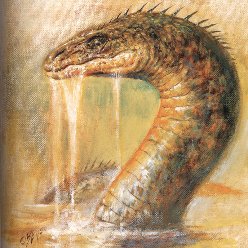 Sea serpent.jpg