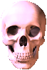 Skull-clipart.gif