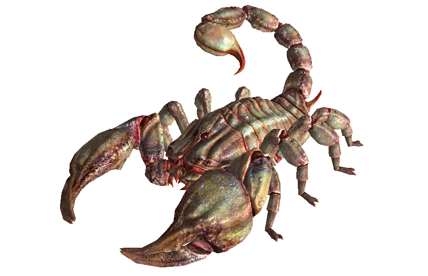 RadscorpionAlbino.png