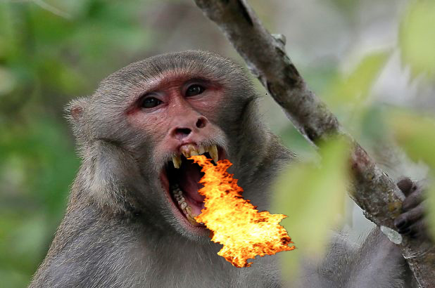 Fire Breathing Monkey (5e Creature) - D\u0026D Wiki