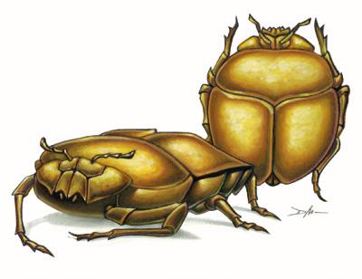 HoardScarab.jpg